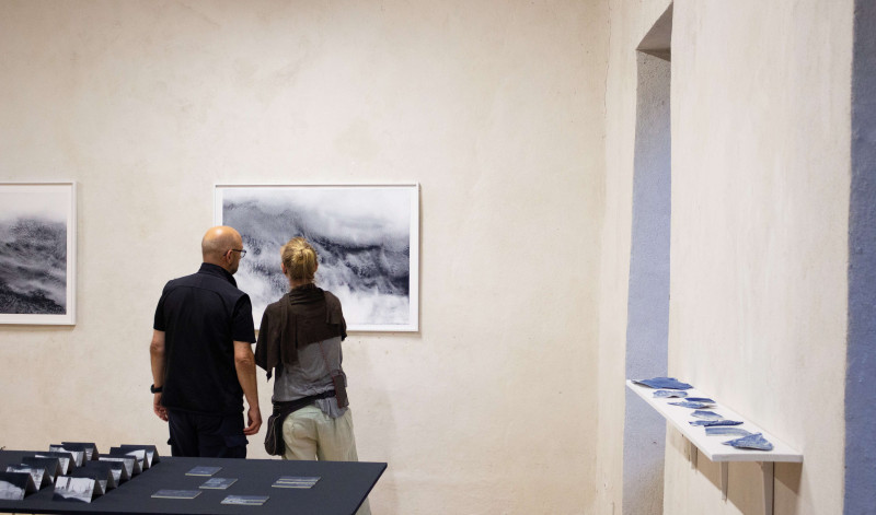 IMG_4911pissenlit Kopie-1N4VY